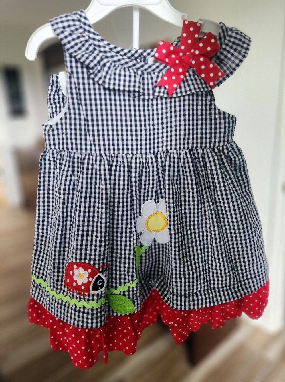 Rare Editions Lady Bug Seersucker Dress with Diaper Cover